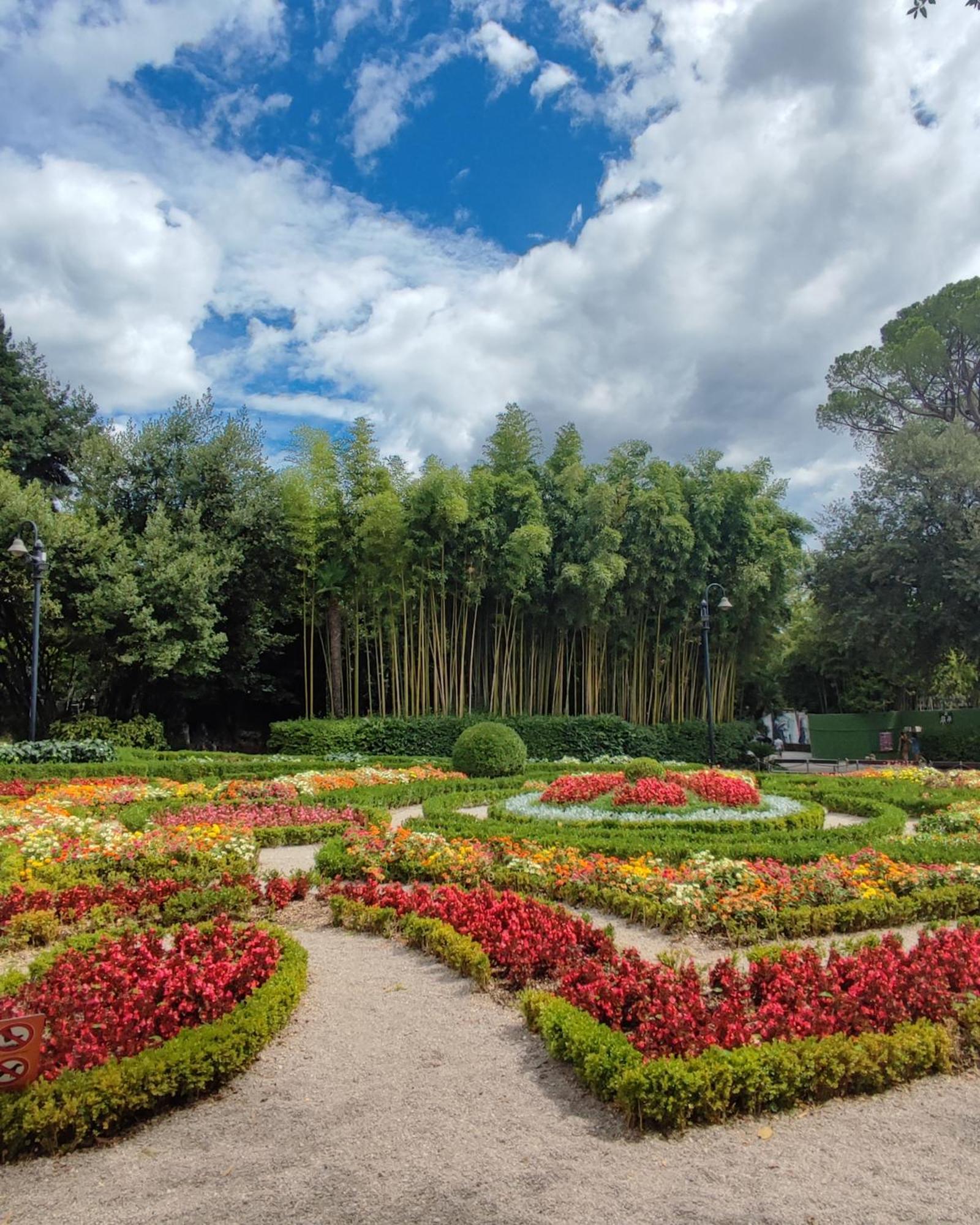Secret Garden *
